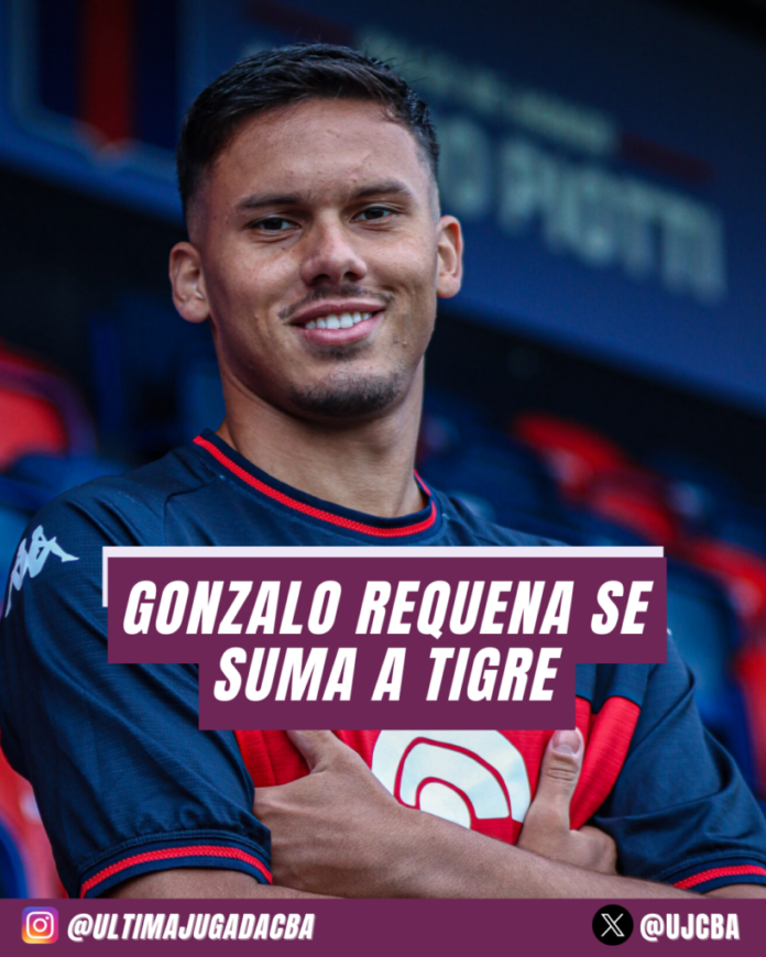 Gonzalo Requena es nuevo jugador de tigre